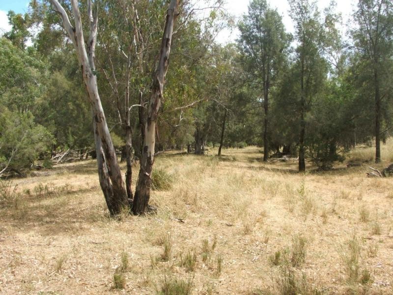 L1 Luna Road, Oman Ama QLD 4352