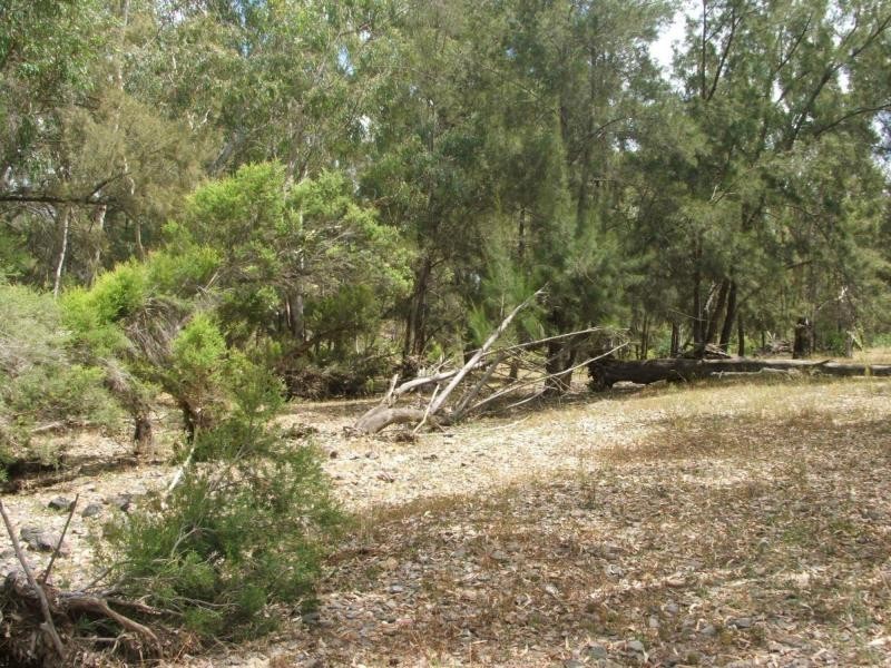 L1 Luna Road, Oman Ama QLD 4352