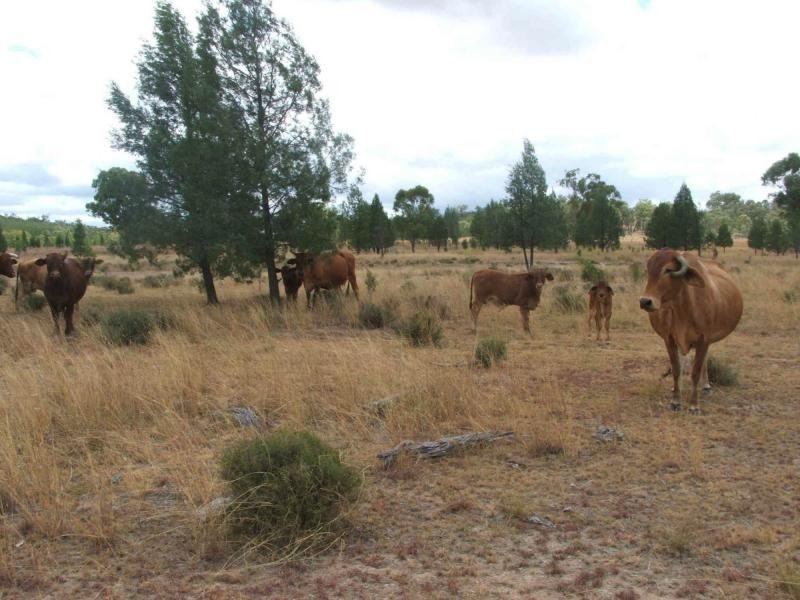 L1 Luna Road, Oman Ama QLD 4352