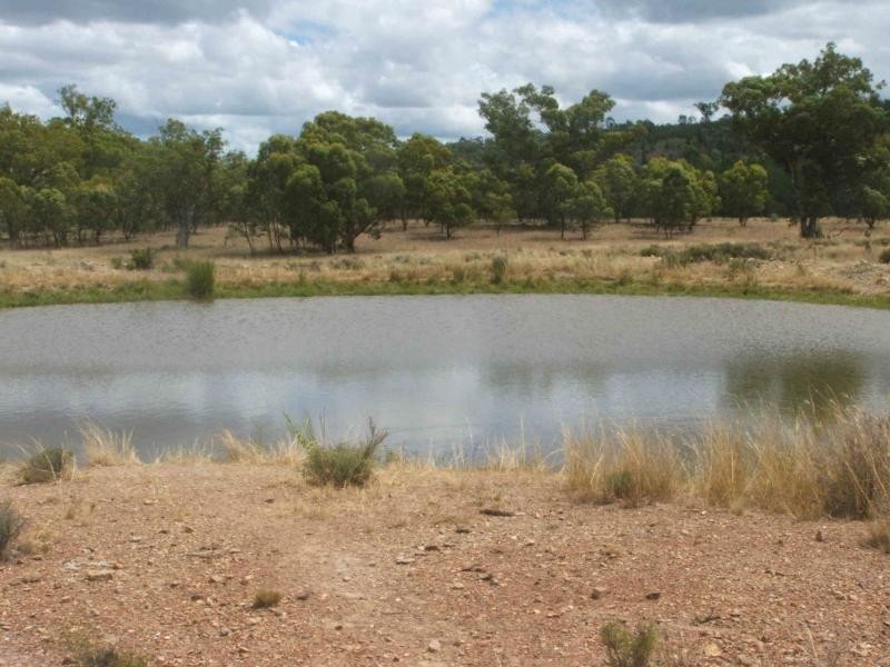 L1 Luna Road, Oman Ama QLD 4352