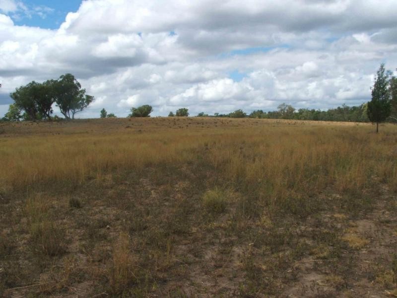 L1 Luna Road, Oman Ama QLD 4352