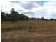 L1 Luna Road, Oman Ama QLD 4352