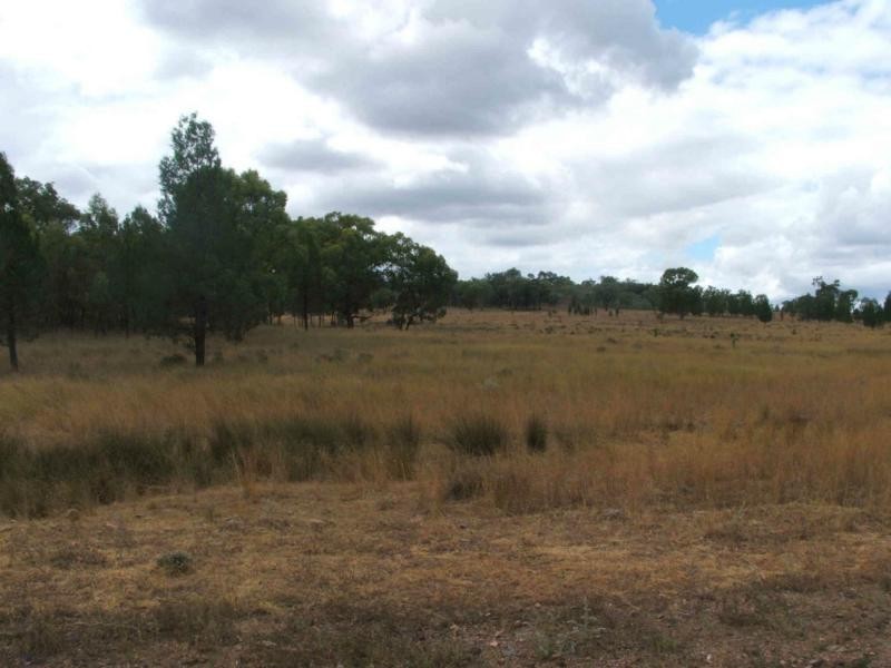 L1 Luna Road, Oman Ama QLD 4352
