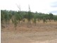 L1 Luna Road, Oman Ama QLD 4352