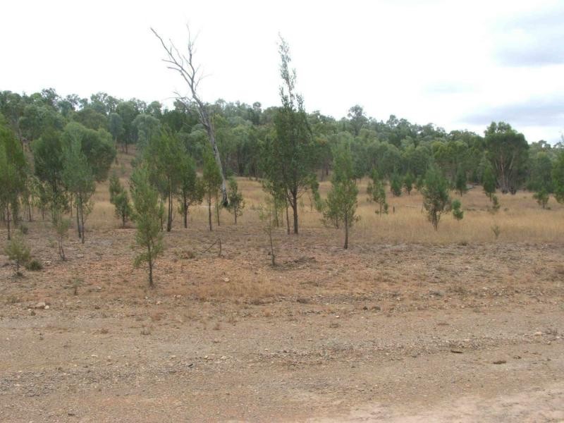 L1 Luna Road, Oman Ama QLD 4352