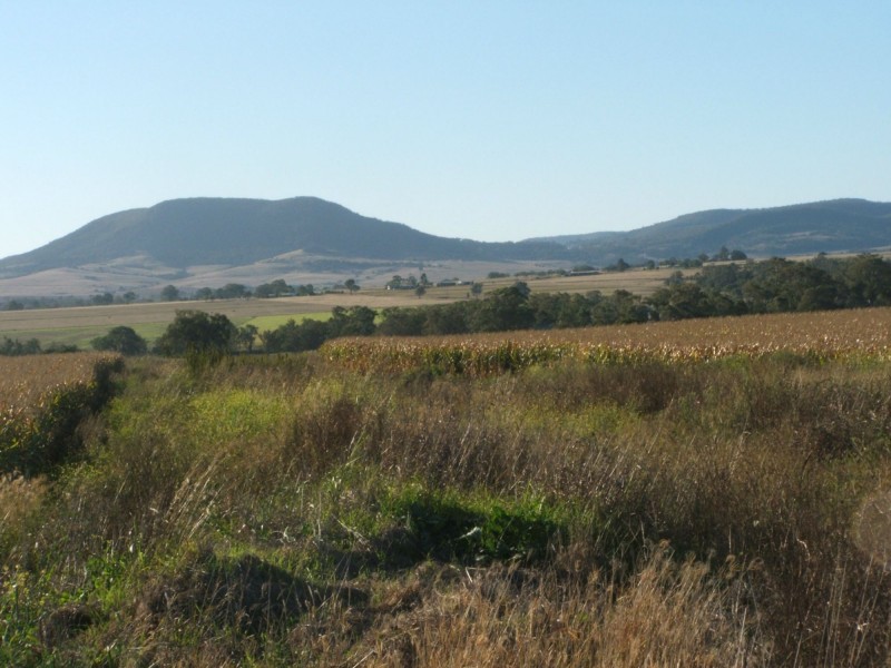 L2 Tuckers Road, Danderoo QLD 4370