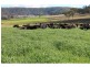 Goomburra QLD 4362