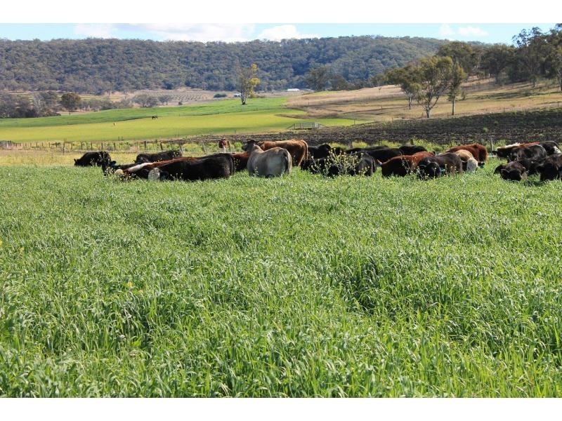 Goomburra QLD 4362