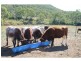 Goomburra QLD 4362