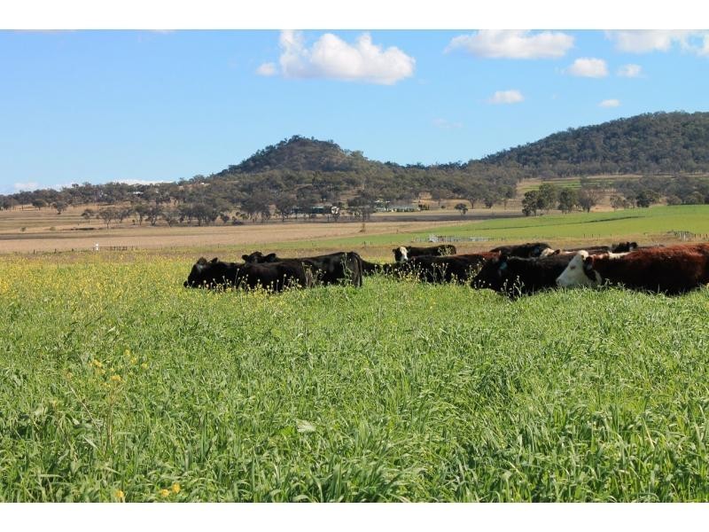 Goomburra QLD 4362