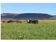 Goomburra QLD 4362