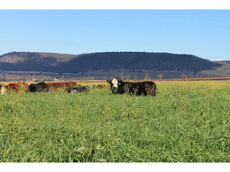 Goomburra QLD 4362