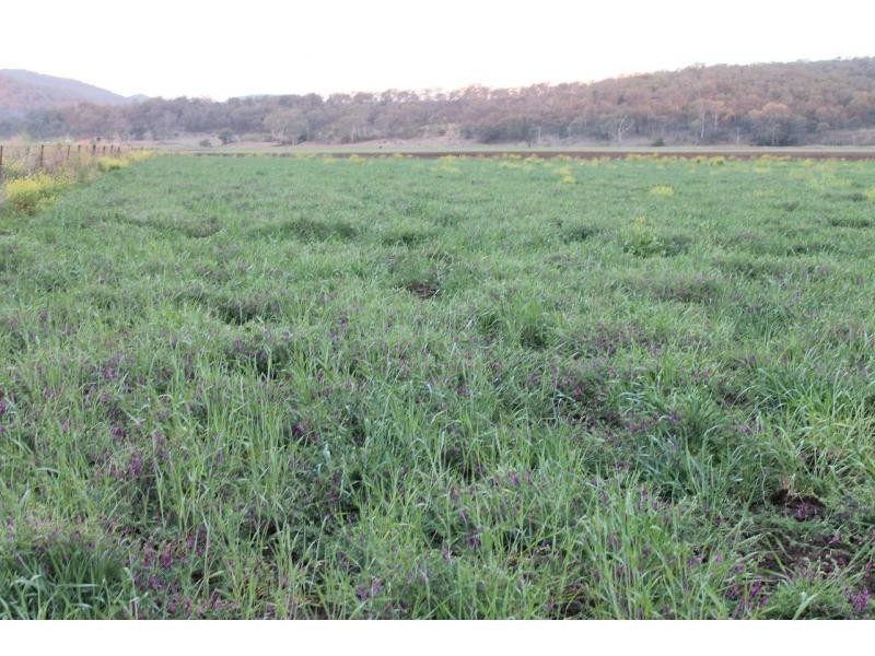 Goomburra QLD 4362