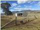 313 Swanfels Road, Warwick QLD 4370