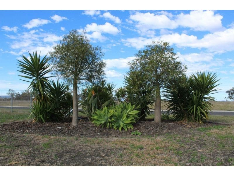 8 Amarina Avenue, Warwick QLD 4370