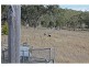 1750 Inverramsay Road, Goomburra QLD 4362