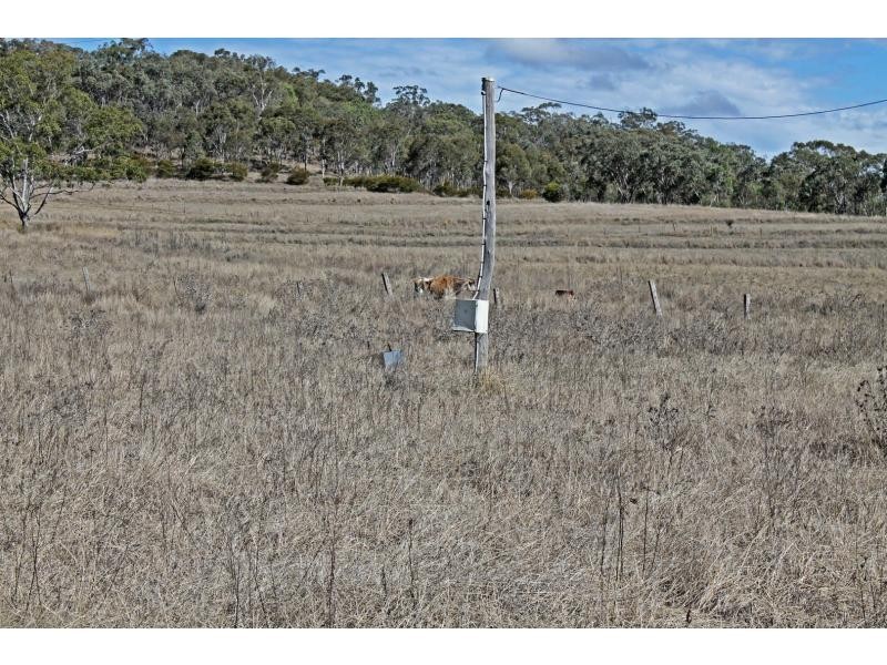 1750 Inverramsay Road, Goomburra QLD 4362