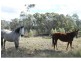 240 Ranger Road, Rosenthal Heights QLD 4370