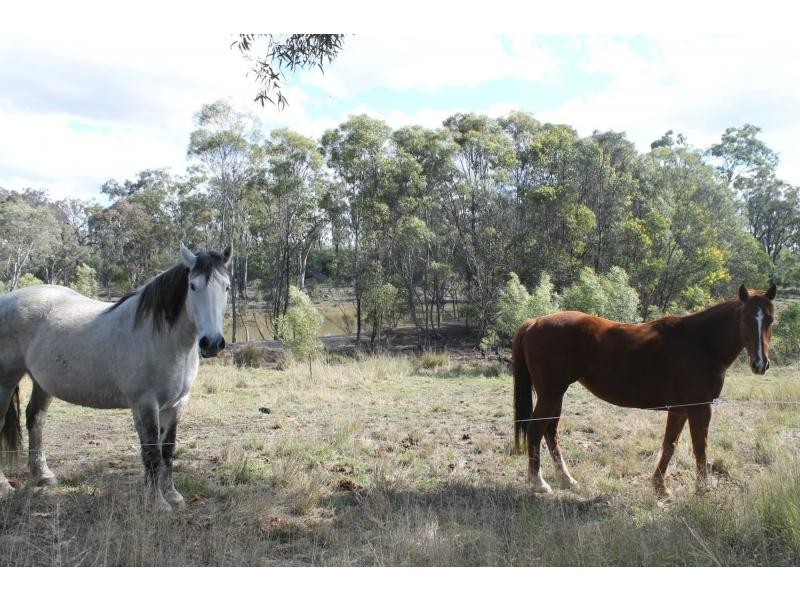 240 Ranger Road, Rosenthal Heights QLD 4370