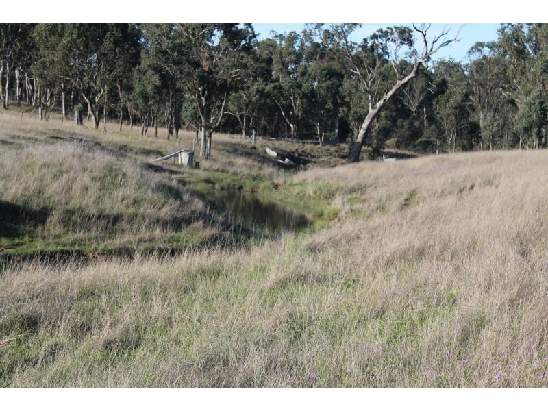 642 O’deas Road, Elbow Valley QLD 4370