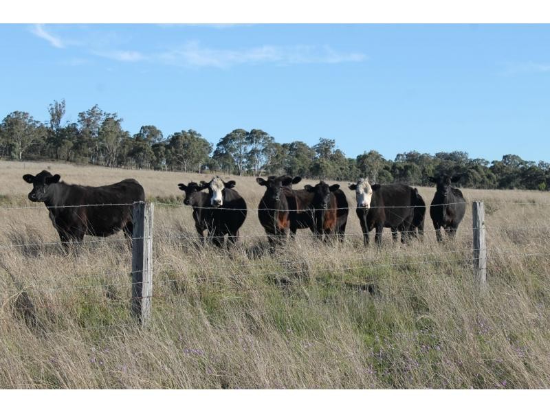 642 O’deas Road, Elbow Valley QLD 4370