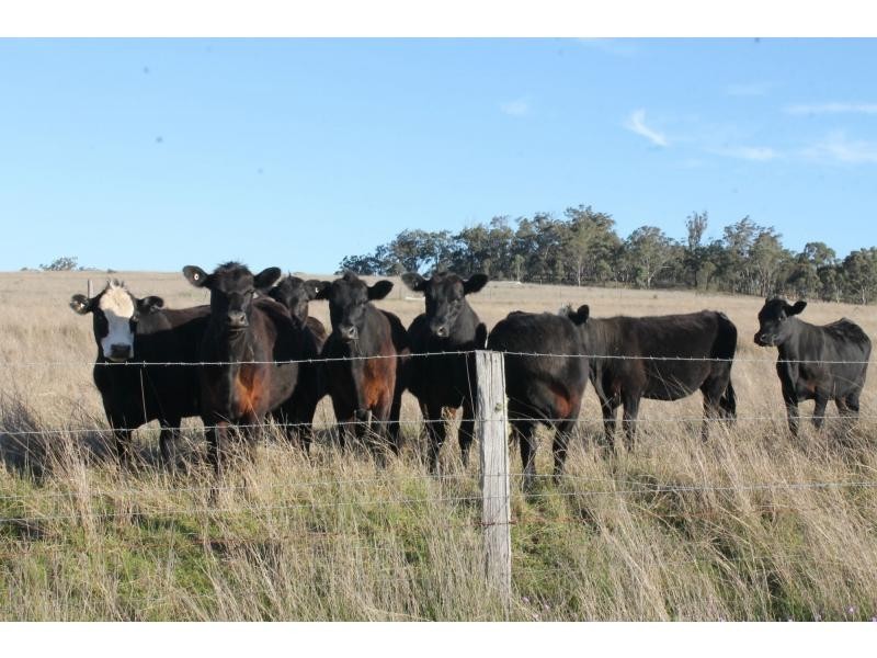 642 O’deas Road, Elbow Valley QLD 4370