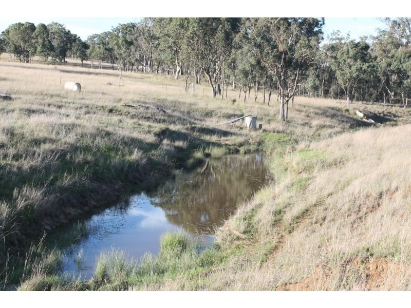 642 O’deas Road, Elbow Valley QLD 4370