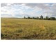 19 South Street, Allora QLD 4362