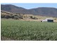 258 Swanfels Road, Yangan QLD 4371