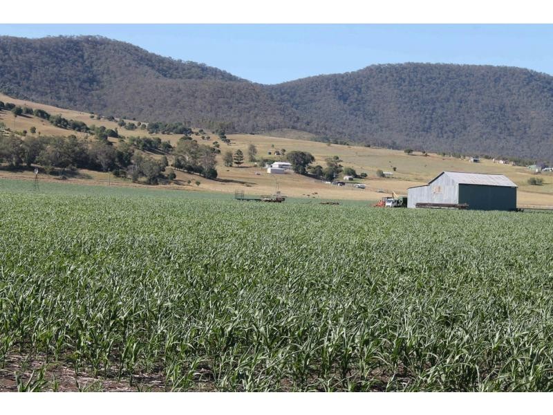 258 Swanfels Road, Yangan QLD 4371