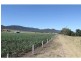 258 Swanfels Road, Yangan QLD 4371