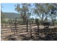 749 Inverramsay Road, Goomburra QLD 4362