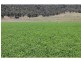 749 Inverramsay Road, Goomburra QLD 4362