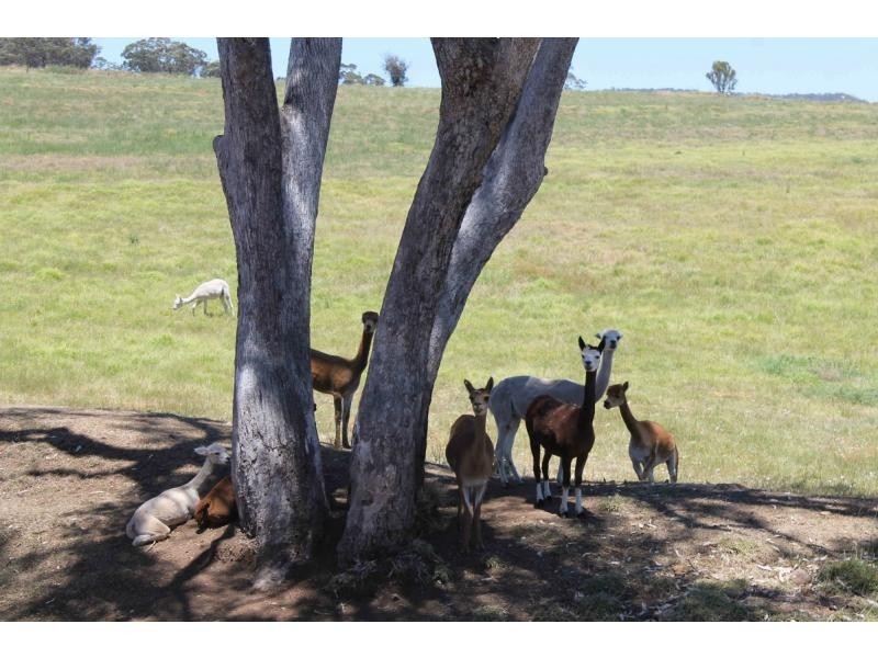 749 Inverramsay Road, Goomburra QLD 4362