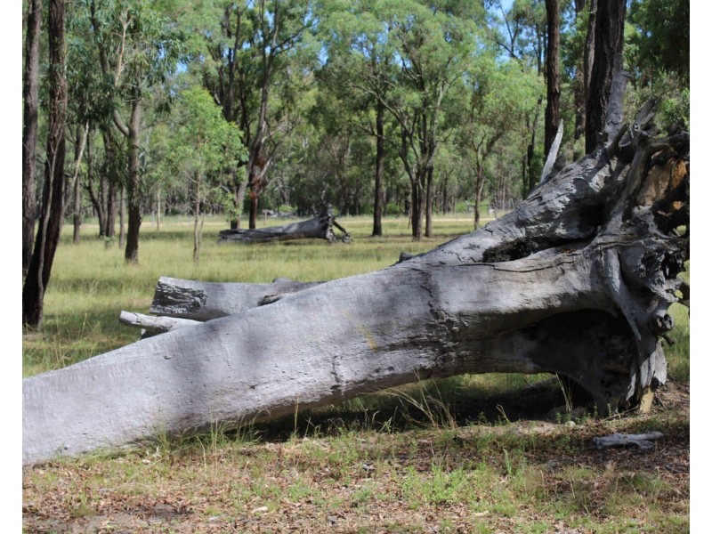 Elbow Valley QLD 4370