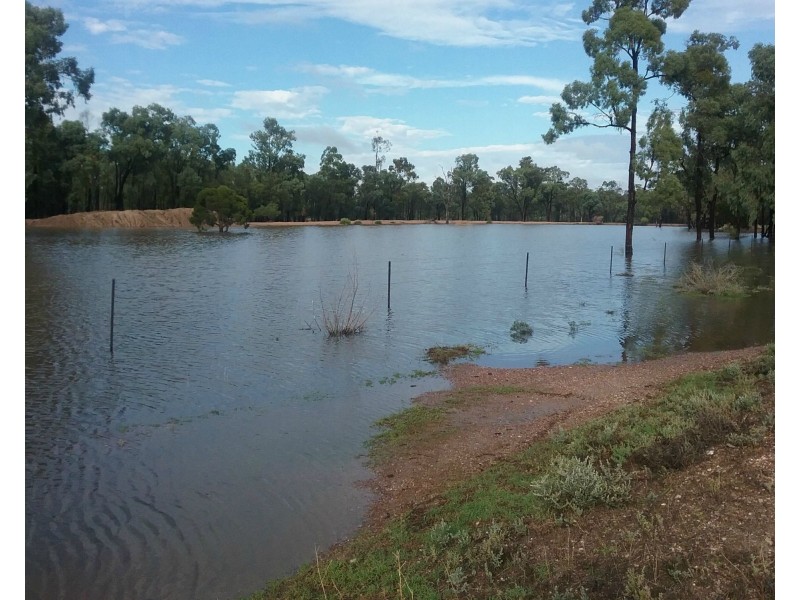 179 Browns Road, Inglewood QLD 4387