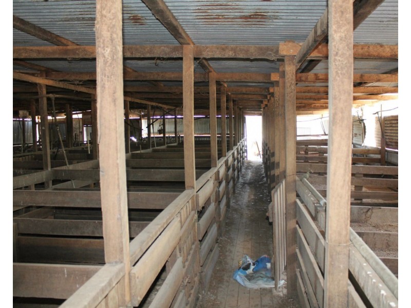 179 Browns Road, Inglewood QLD 4387