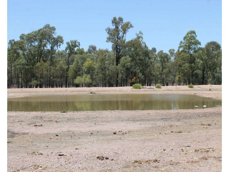 179 Browns Road, Inglewood QLD 4387