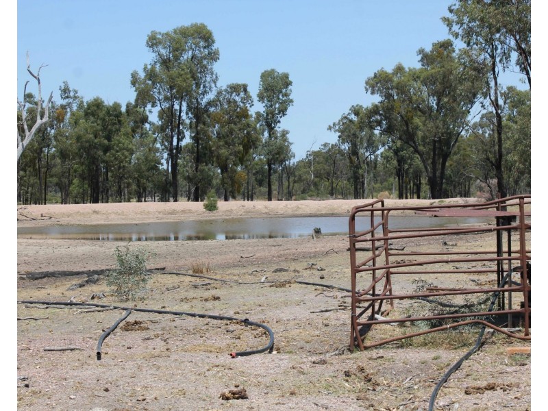 179 Browns Road, Inglewood QLD 4387