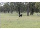 652 Upper Wheatvale  Rd St, Warwick QLD 4370