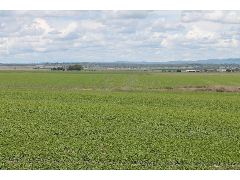 Lot 8 Roona Road, Junabee QLD 4370