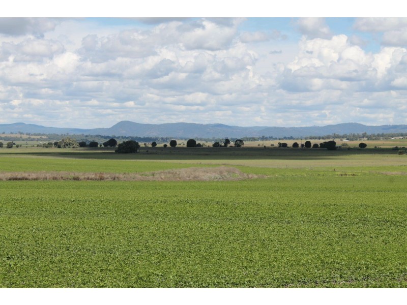 Lot 8 Roona Road, Junabee QLD 4370