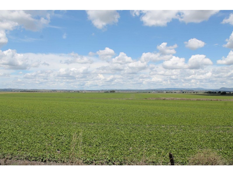 Lot 8 Roona Road, Junabee QLD 4370