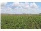 Lot 8 Roona Road, Junabee QLD 4370
