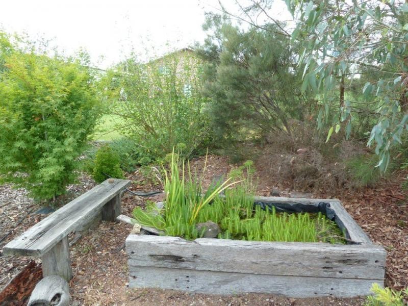Warwick QLD 4370