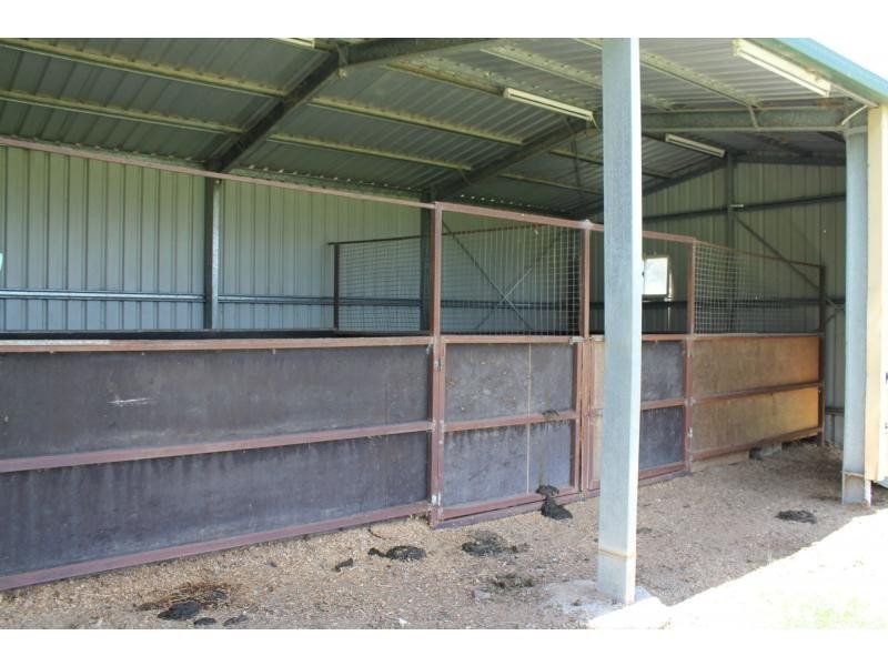 15 Thornton Street, Warwick QLD 4370