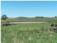 Nobby QLD 4360