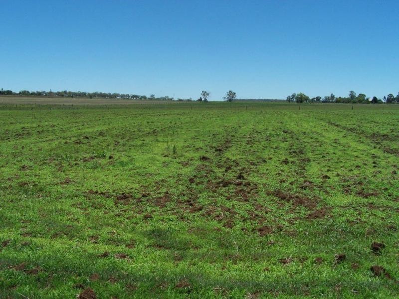 Nobby QLD 4360