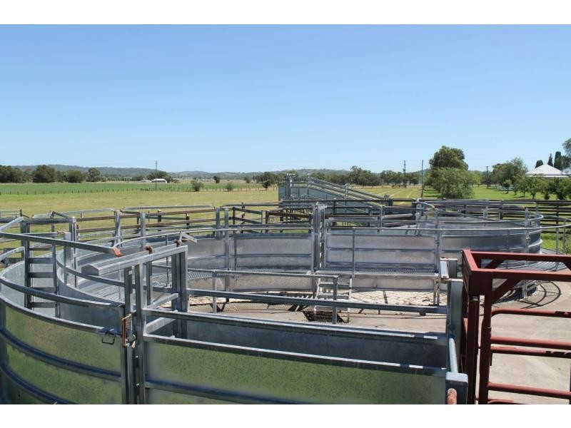 435 Greymare Road, Greymare QLD 4370