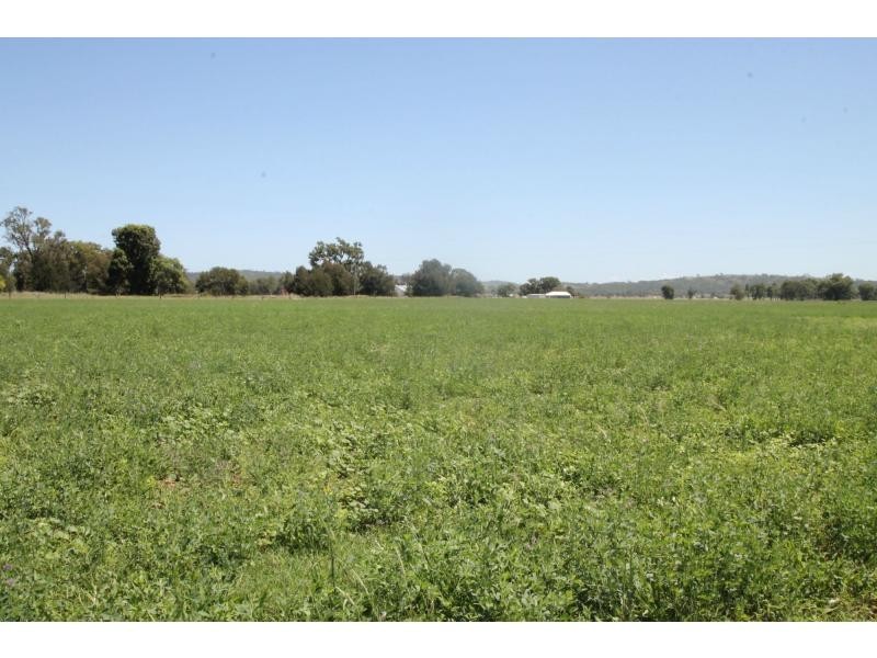 435 Greymare Road, Greymare QLD 4370